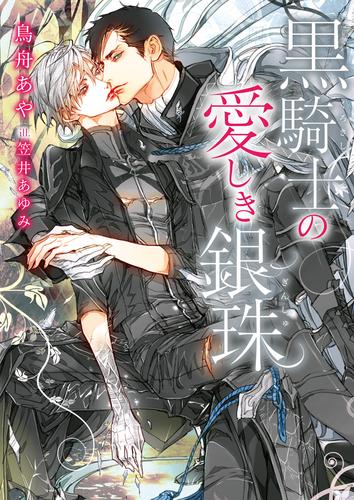 電子版 黒騎士の愛しき銀珠 イラスト入り 鳥舟あや 笠井あゆみ 漫画全巻ドットコム