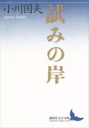 試みの岸