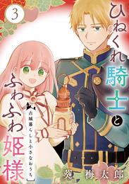 ひねくれ騎士とふわふわ姫様　古城暮らしと小さなおうち【分冊版】 3