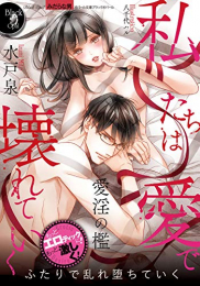 [ライトノベル]私たちは愛で壊れていく (全1冊)