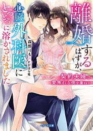 [ライトノベル]離婚するはずが、心臓外科医にとろとろに溶かされました〜契約夫婦は愛焦れる夜を重ねる〜 (全1冊)