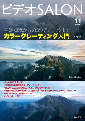 ビデオ SALON (サロン) 2019年 11月号