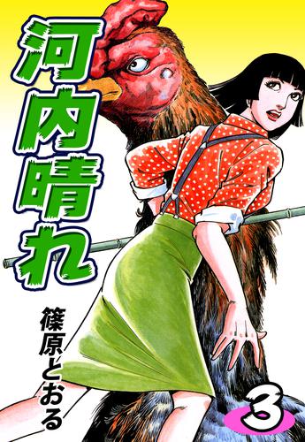 河内晴れ 3 冊セット 全巻