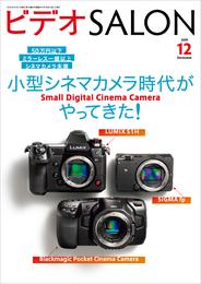 ビデオ SALON (サロン) 2019年 12月号