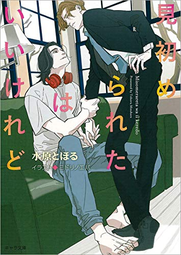 [ライトノベル]見初められたはいいけれど (全1冊)