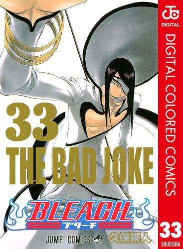 BLEACH カラー版 33