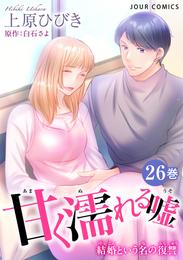 甘く濡れる嘘～結婚という名の復讐～ 26 冊セット 最新刊まで