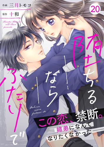 noicomi堕ちるならふたりで 20 冊セット 全巻