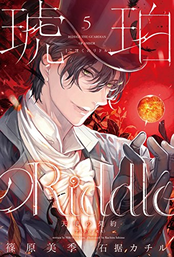 [ライトノベル]琥珀のRiddle(全5冊)