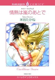 情熱は嵐のあとで【分冊】 12巻