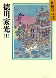 徳川家光(1)　三代の風の巻