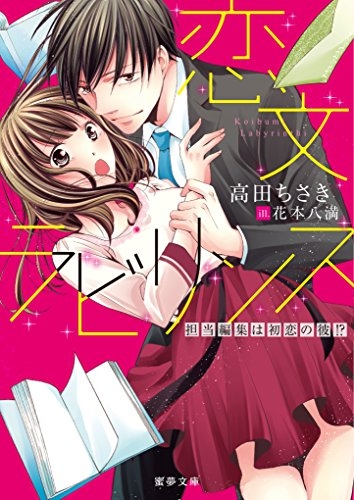 [ライトノベル]恋文ラビリンス (全1冊)