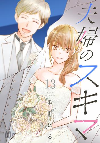 夫婦のスキマ 13 冊セット 全巻