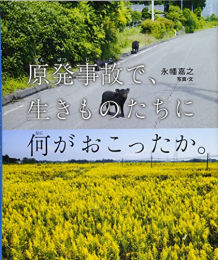 原発事故で、生きものたちに何がおこったか。