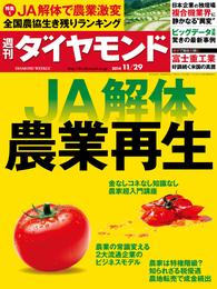 週刊ダイヤモンド　14年11月29日号