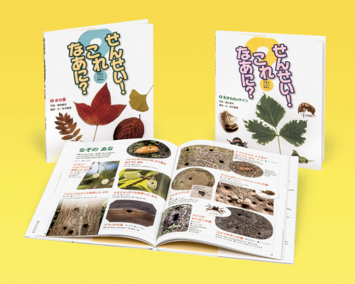 せんせい!これなあに?第2期 全2巻セット
