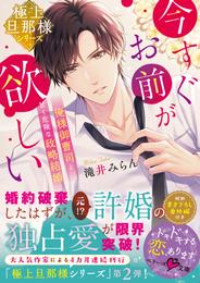 【極上旦那様シリーズ】今すぐお前が欲しい～俺様御曹司と甘く危険な政略結婚～