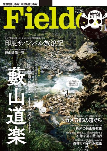 Fielder vol.34