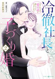 冷徹社長と子づくり婚～ホテル王は愛の証が欲しくてたまらない～ 2 冊セット 全巻