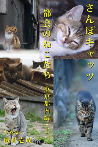 さんぽキャッツ　都会のねこたち　東京都内編(下)