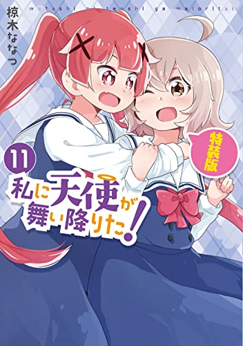 私に天使が舞い降りた!(11) 特装版