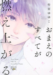 [ライトノベル]おまえのすべてが燃え上がる (全1冊)