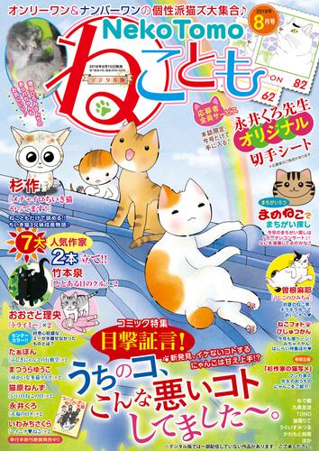 ねこともvol.56