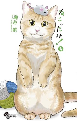 ねこったけ！（４）