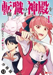 転職の神殿を開きました（コミック） 分冊版 12