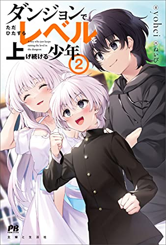 [ライトノベル]ダンジョンでただひたすらレベルを上げ続ける少年 (全2冊)