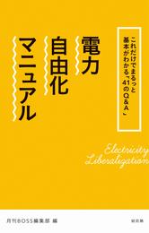 電力自由化マニュアル