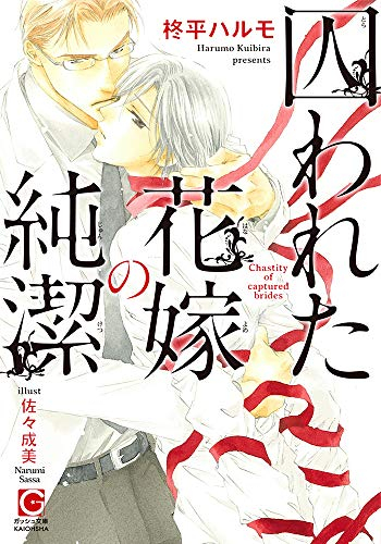 [ライトノベル]囚われた花嫁の純潔 (全1冊)