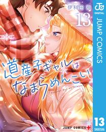 道産子ギャルはなまらめんこい 13 冊セット 最新刊まで