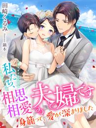 私たち、相思相愛夫婦です～身籠って、愛が深まりました～