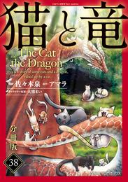 猫と竜【分冊版】38