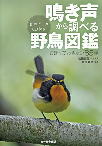 鳴き声から調べる野鳥図鑑?おぼえておきたい85種