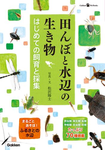 田んぼと水辺の生き物　はじめての飼育と採集