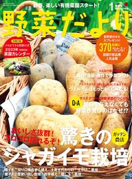 野菜だより2023年1月号