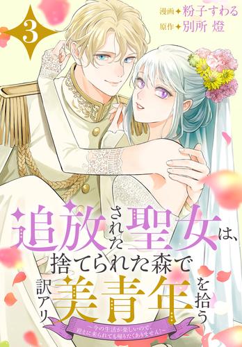 追放された聖女は、捨てられた森で訳アリ美青年を拾う～今の生活が楽しいので、迎えに来られても帰りたくありません！～【おまけ描き下ろし付き】　3巻