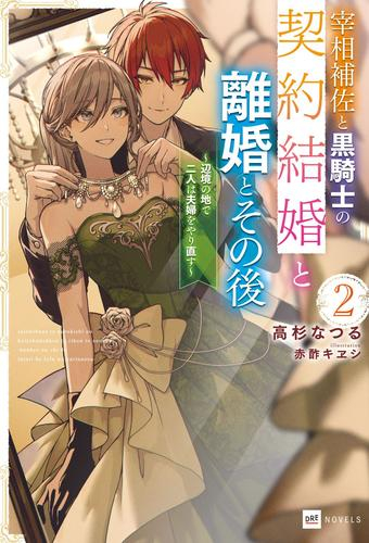 [ライトノベル]宰相補佐と黒騎士の契約結婚と離婚とその後 〜辺境の地で二人は夫婦をやり直す〜 (全2冊)