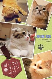 ほっこり猫ライフ　vol.11