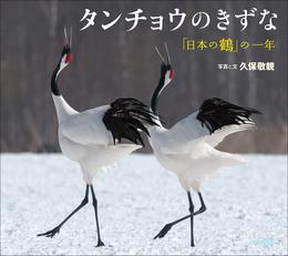 タンチョウのきずな　～「日本の鶴」の一年～（小学館の図鑑NEOの科学絵本）