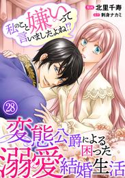 私のこと嫌いって言いましたよね！？変態公爵による困った溺愛結婚生活　28