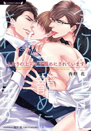 [ライトノベル]ふたりの上司に手籠めにされています (全1冊)