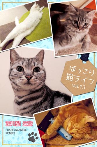 ほっこり猫ライフ　vol.13