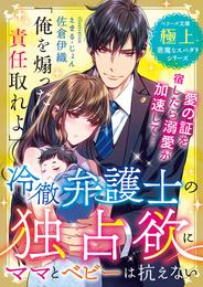 冷徹弁護士の独占欲にママとベビーは抗えない【極上悪魔なスパダリシリーズ】