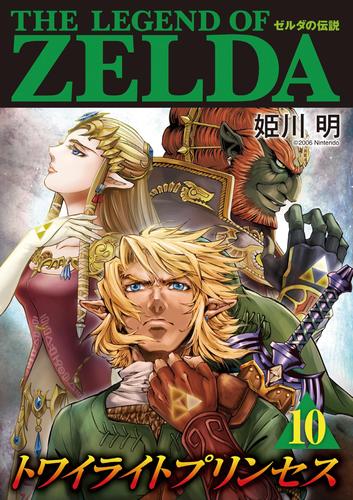 ゼルダの伝説 トワイライトプリンセス（１０）