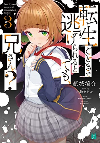 [ライトノベル]転生ごときで逃げられるとでも、兄さん? (全3冊)