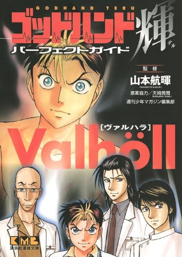 ゴッドハンド輝パーフェクトガイドValho¨ll[文庫版] (1巻 全巻)