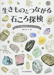 生きものとつながる石ころ探検―ゲッチョ先生の石ころコレクション